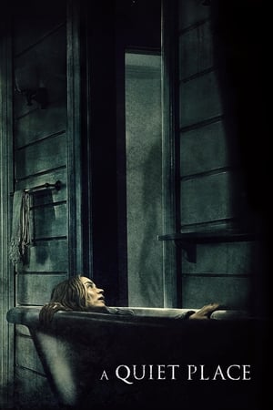 A Quiet Place 2018 Dual Audio | Hindi Full Movie BluRay [800MB]
