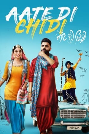 Aate di chidi (2018) Punjabi Movie | Hindi Full Movie HDRip x264 [1GB]