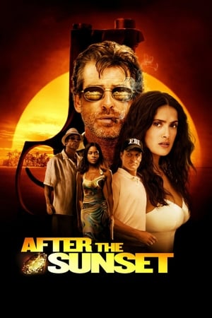 After The Sunset (2004) Dual Audio | Hindi Full Movie BluRay [780MB]