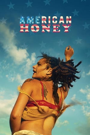 American Honey (2016) Dual Audio | Hindi Full Movie BluRay 500MB