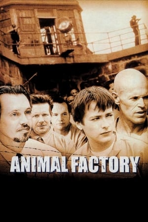 Animal Factory (2000) Dual Audio | Hindi Full Movie BluRay 300MB