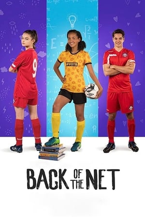 Back of the Net (2019) Dual Audio | Hindi Full Movie Web-DL 300MB