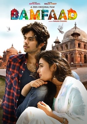 Bamfaad 2020 Movie | Hindi Full Movie HDRip x264 [790MB]