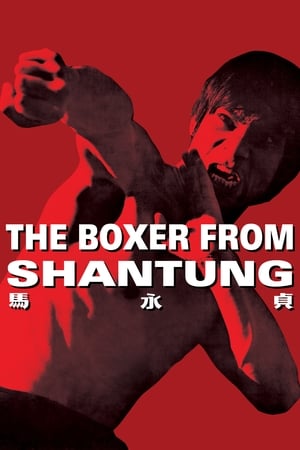Boxer from Shantung (1972) Dual Audio | Hindi Full Movie BluRay 400MB