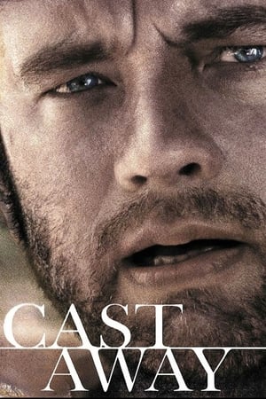 Cast Away 2000 Dual Audio | Hindi Full Movie BluRay [1GB] ESubs