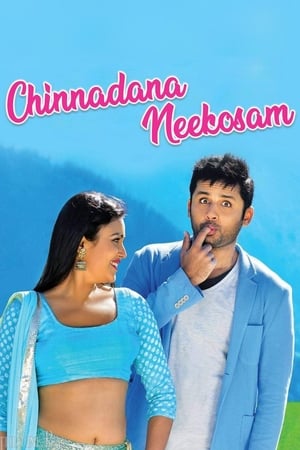 Chinnadana Nee Kosam 2014 Dual Audio | Hindi Full Movie BluRay 400MB