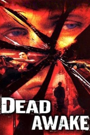 Dead Awake 2001 Dual Audio | Hindi Full Movie WebRip [1GB]