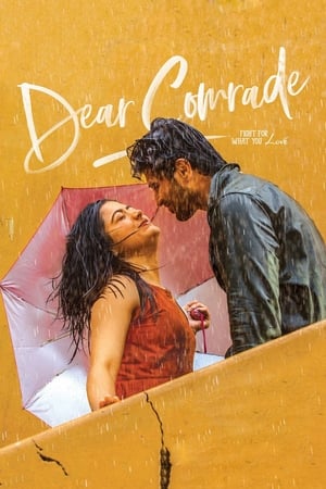 Dear Comrade 2019 ( - Telugu) Dual Audio | Hindi Full Movie UnCut HDRip 450MB