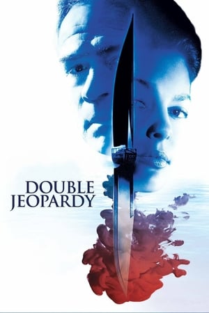 Double Jeopardy 1999 Dual Audio | Hindi Full Movie Web-DL 350MB