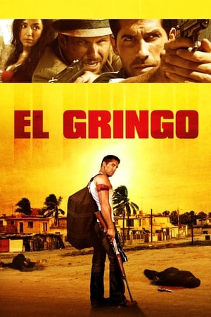 El Gringo (2012) Dual Audio | Hindi Full Movie HDRip [900MB]
