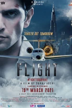 Flight 2021 Movie | Hindi Full Movie HDRip x264 [860MB]