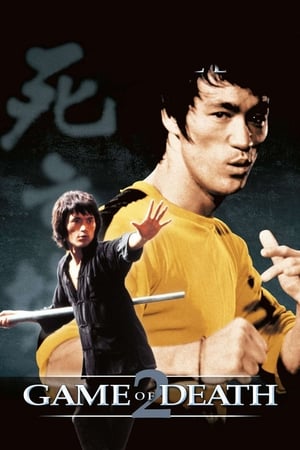 Game of Death II (1981) Dual Audio Movie | Hindi Full Movie BluRay - 1.1GB