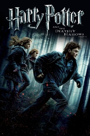 Harry Potter and the Deathly Hallows 2010 – Part 1 Dubbed Bluray | Hindi Full Movie [1.0GB] Download