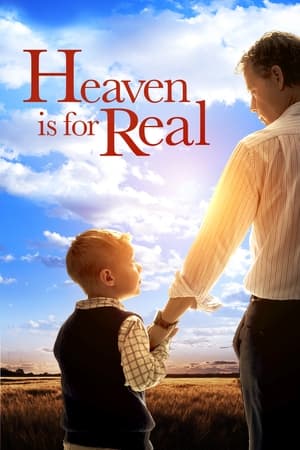 Heaven Is for Real (2014) Dual Audio | Hindi Full Movie BluRay [850MB] ESubs