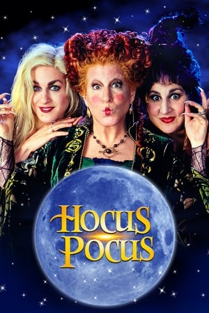 Hocus Pocus 1993 Dual Audio | Hindi Full Movie BluRay [850MB]
