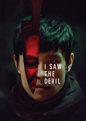 I Saw the Devil 2010 Dual Audio HDRip | Hindi Full Movie – 480p