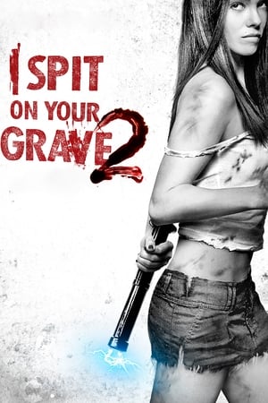 I Spit on Your Grave 2 (2013) Dual Audio HDRip | Hindi Full Movie – 480p