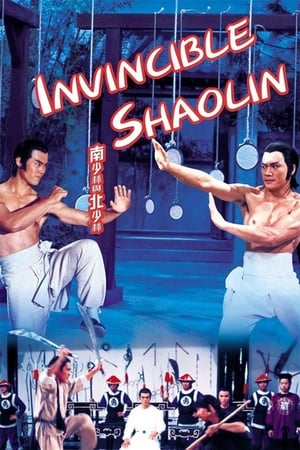 Invincible Shaolin 1978 Dual Audio | Hindi Full Movie BluRay 300MB