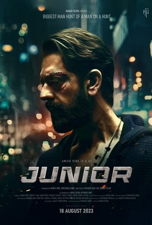 Junior 2023 Punjabi HDRip | Hindi Full Movie | 480p