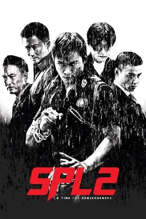 Kill Zone 2 (2015) Dual Audio | Hindi Full Movie BluRay [1.5GB] ESubs