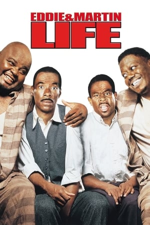 Life (1999) Dual Audio | Hindi Full Movie BluRay 350MB