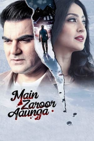 Main Zaroor Aaunga 2019 Movie | Hindi Full Movie HDRip x264 [670MB]