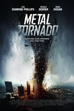 Metal Tornado 2011 Dual Audio | Hindi Full Movie BluRay 300MB