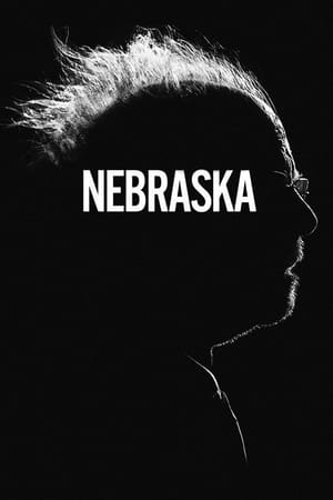 Nebraska 2013 Dual Audio Movie | Hindi Full Movie BluRay - 1GB
