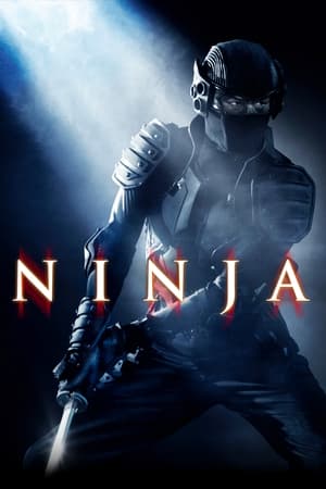 Ninja (2009) Dual Audio HDRip | Hindi Full Movie – 480p