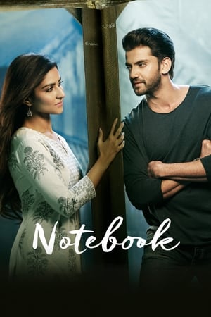 Notebook (2019) Movie | Hindi Full Movie HDRip - [400MB]