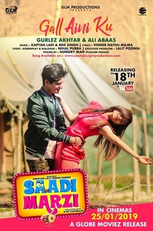 Saadi Marzi (2019) Punjabi Movie | Hindi Full Movie HDRip x264 [930MB]