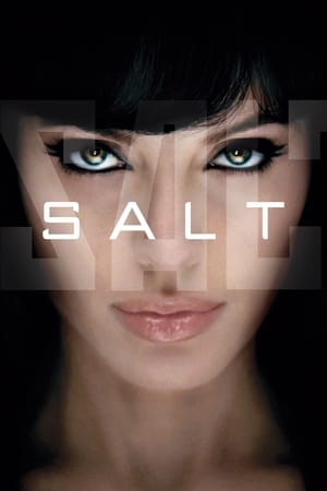 Salt (2010) Dual Audio | Hindi Full Movie BluRay [800MB]