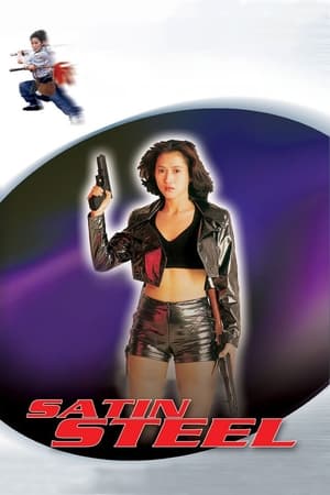 Satin Steel (1994) Dual Audio | Hindi Full Movie Web-DL [700MB]