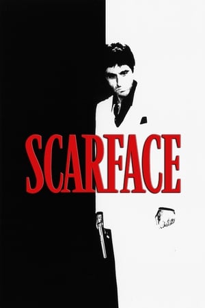 Scarface (1983) Dual Audio | Hindi Full Movie BluRay 500MB