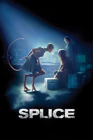 Splice 2009 Dual Audio | Hindi Full Movie BluRay 330MB