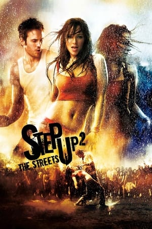 Step Up 2 The Streets 2008 Dual Audio | Hindi Full Movie BluRay 300MB