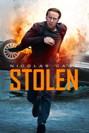 Stolen (2012) Dual Audio | Hindi Full Movie BluRay 300MB ESubs