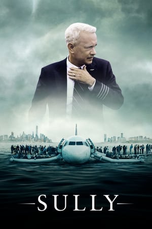 Sully (2016) (Unofficial Dubbed) Dual Audio BluRay [ | Hindi Full Movie] [720p]