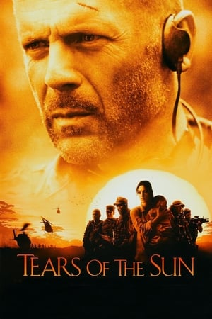 Tears of the Sun 2003 Dual Audio | Hindi Full Movie BluRay 360MB