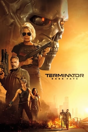 Terminator: Dark Fate (2019) (Org) Dual Audio | Hindi Full Movie BluRay [1GB]