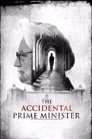 The Accidental Prime Minister (2019) Movie | Hindi Full Movie HDRip x264 [1GB]