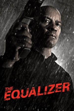 The Equalizer (2014) Dual Audio BluRay | Hindi Full Movie – 480p
