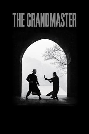 The Grandmaster (2013) Dual Audio | Hindi Full Movie BluRay [1GB] ESubs