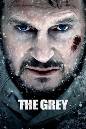 The Grey 2011 Dual Audio | Hindi Full Movie BluRay 360MB