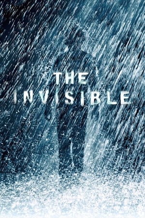 The Invisible 2007 Dual Audio Movie | Hindi Full Movie BRRip - 850MB