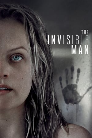 The Invisible Man (2020) (ORG) Dual Audio | Hindi Full Movie BluRay 400MB