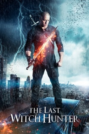 The Last Witch Hunter (2015) Dual Audio | Hindi Full Movie BluRay [940MB]