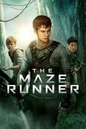 The Maze Runner (2014) Dual Audio | Hindi Full Movie BluRay [1.1GB]