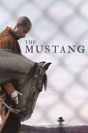 The Mustang (2019) Dual Audio | Hindi Full Movie BluRay 300MB