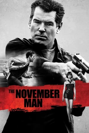 The November Man 2014 Dual Audio [ - English] | Hindi Full Movie BluRay 350MB